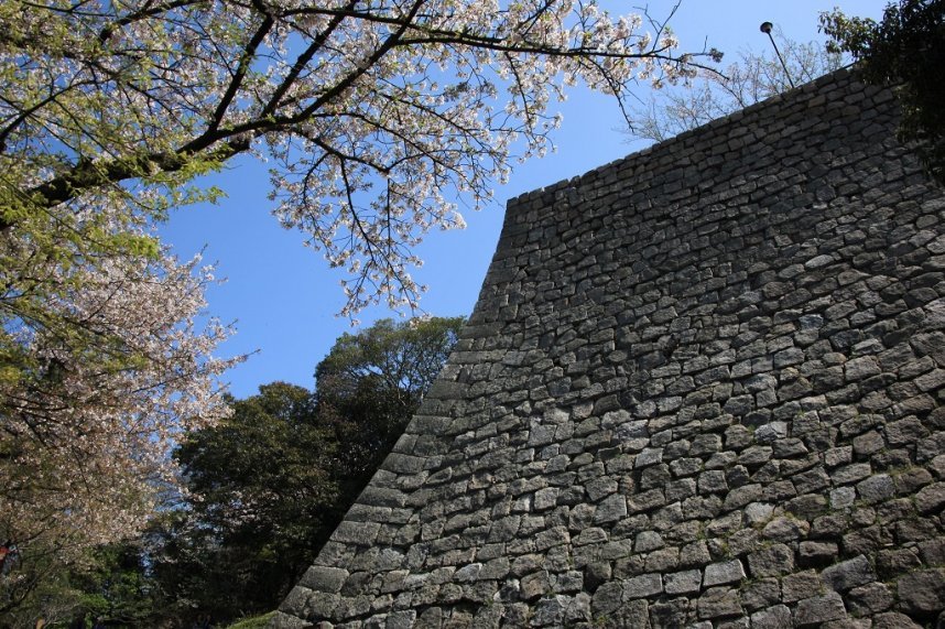 日本一の高さを誇る石垣は、その美しさでも有名