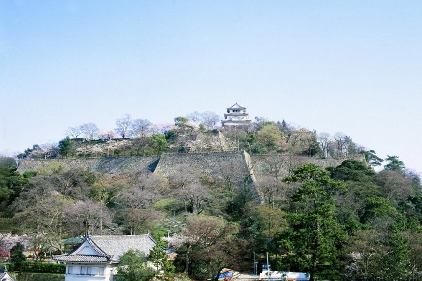 花見や散歩など憩いの場として親しまれている「丸亀城」