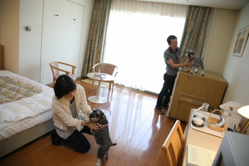 ペット同伴ＯＫの宿泊プランが用意されている「リゾートホテルオリビアン小豆島」