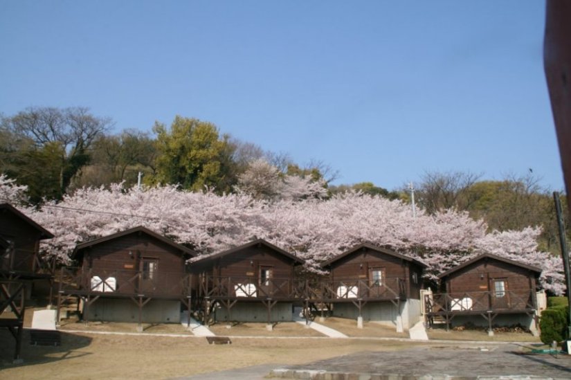 １室5名まで利用できるゆったりとしたキャビンで豊かな時間を過ごそう！