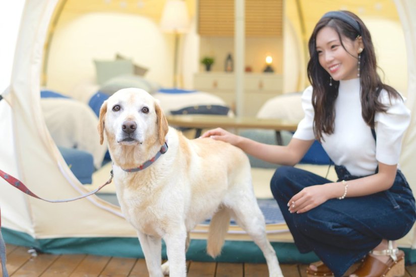 愛犬とのグランピング体験を満喫