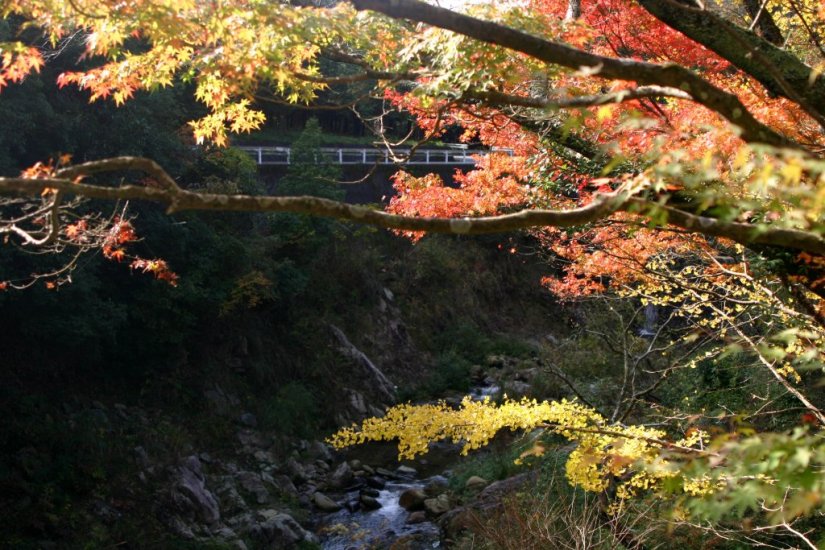 要チェック おすすめ紅葉スポット うどん県の秋を楽しむ紅葉狩り 特集 香川県観光協会公式サイト うどん県旅ネット