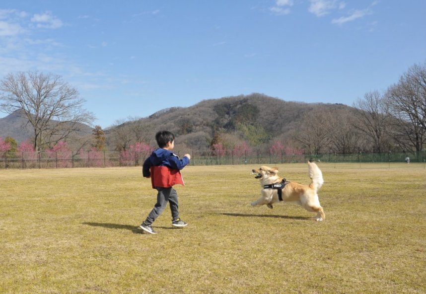 思いきり駆け回って遊ぼう！