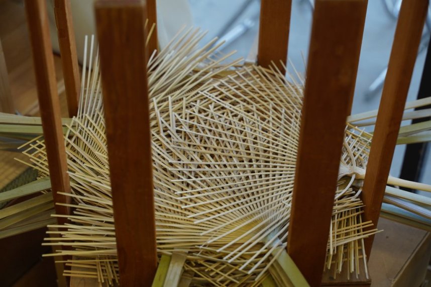 1本の竹で作る伝統的な丸亀うちわに使う竹は地元で自生しているものを使用。