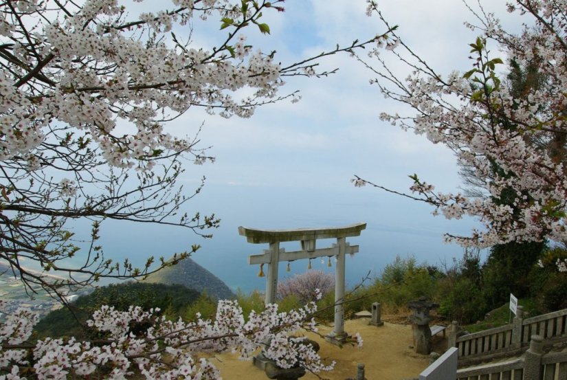 写真：観音寺市
