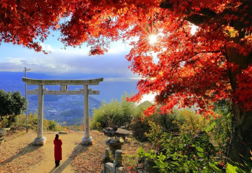 写真：観音寺市