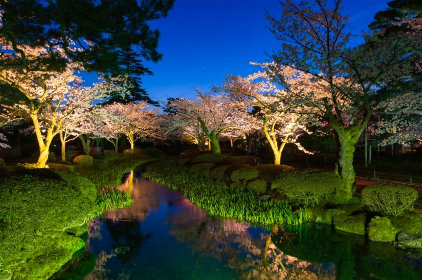 観桜シーズンの「花見橋」から見た曲水の眺め。ここは季節ごとの花によっても雰囲気が変わり、夜のライトアップでさらにドラマチックな美しさに！