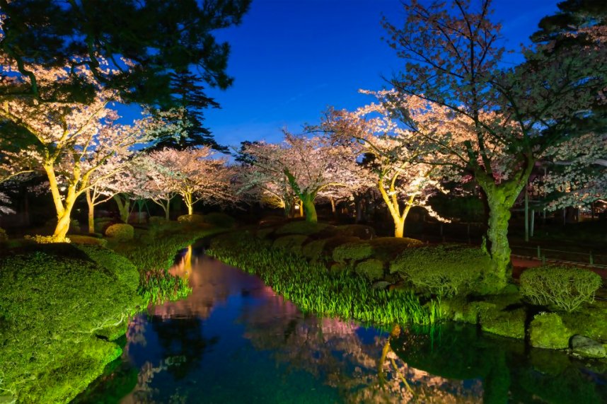 観桜シーズンの「花見橋」から見た曲水の眺め。ここは季節ごとの花によっても雰囲気が変わり、夜のライトアップでさらにドラマチックな美しさに！