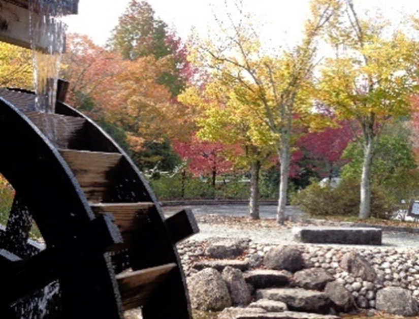 廻る水車と紅葉