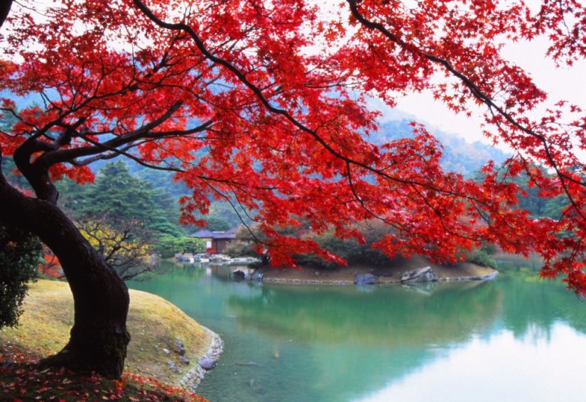 栗林公園 うどん県の秋を楽しむ紅葉狩り 特集 香川県観光協会公式サイト うどん県旅ネット