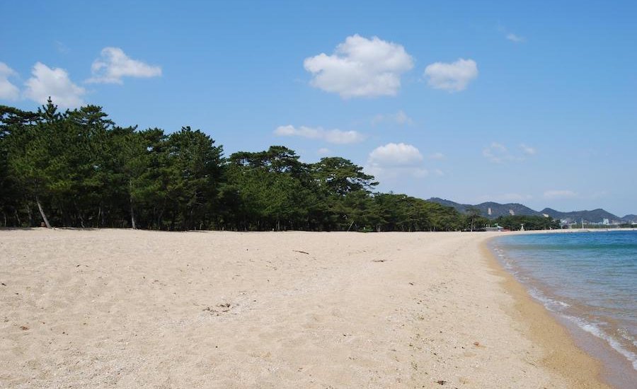 津田の松原・琴林公園