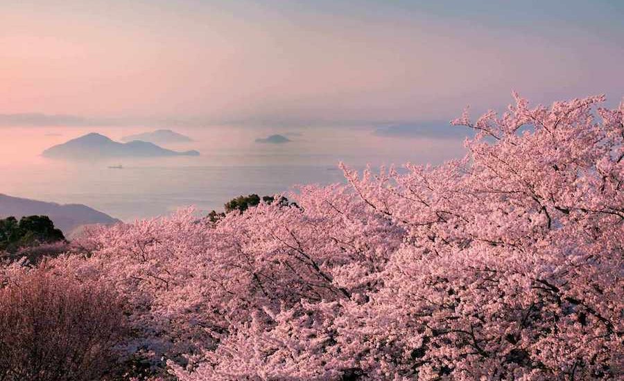 紫雲出山