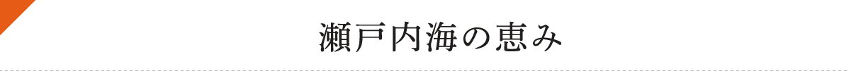 瀬戸内海の恵み