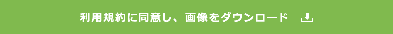 利用規約に同意し、画像をダウンロード