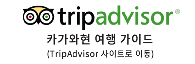 trip advisor