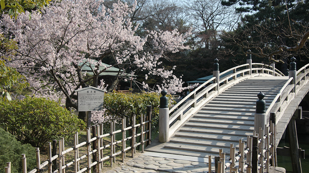벚꽃과 엔게쓰쿄 다리