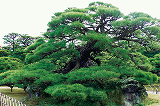 리쓰린 공원