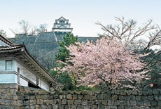 Marugame Castle