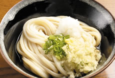 Sanuki Udon Noodles