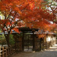 栗林公園
