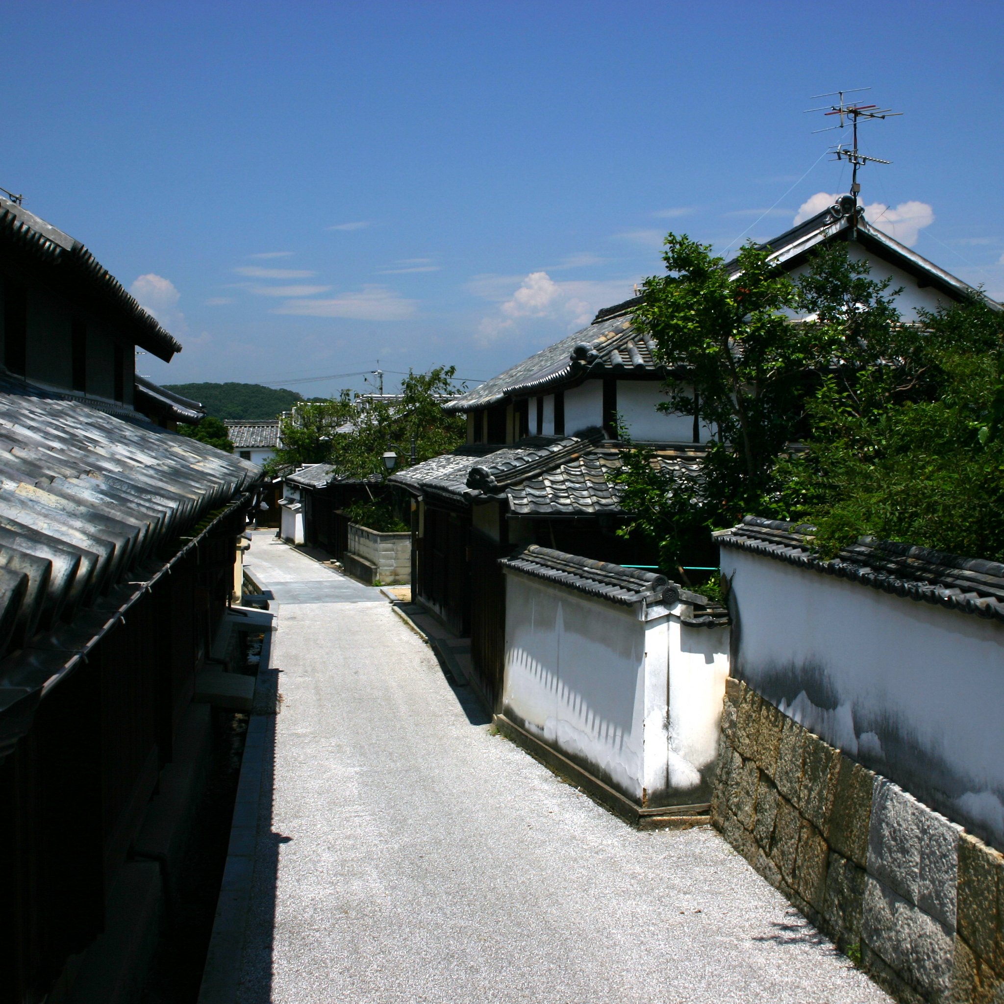 本島