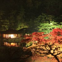栗林公園　秋のライトアップ