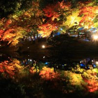 栗林公園　秋のライトアップ