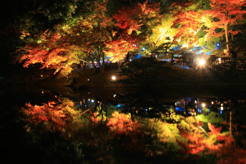 栗林公園　秋のライトアップ
