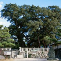 宝生院