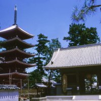 志度寺（五重塔）