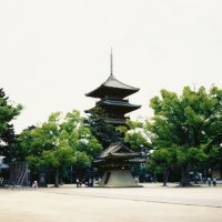 総本山善通寺（五重塔）