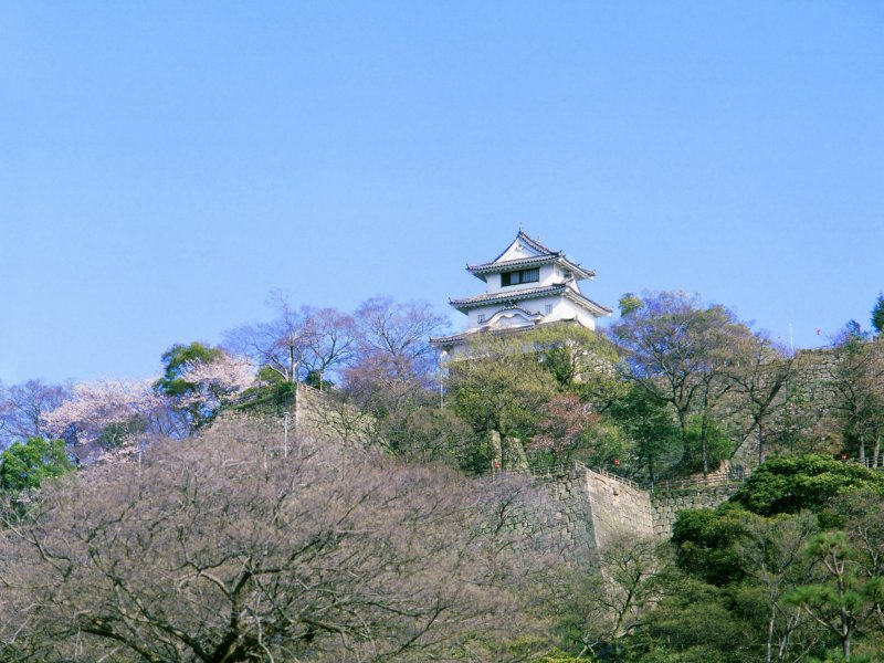 丸亀城