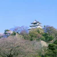 丸亀城