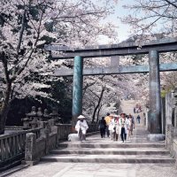 金刀比羅宮(桜馬場）