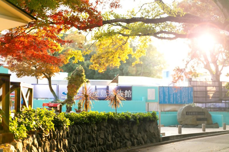 新屋島水族館