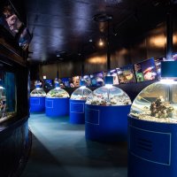 新屋島水族館