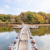 太古の森（水上アベニュー）