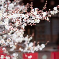 滝宮天満宮