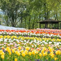 国営讃岐まんのう公園