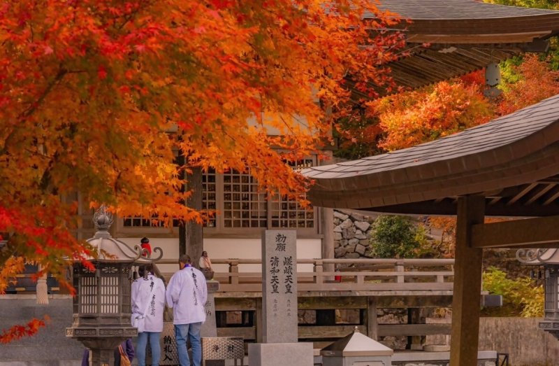 雲辺寺