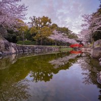 琴弾公園