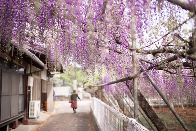 岩田神社