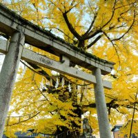 岩部八幡神社