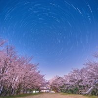 青ノ山山頂（桜）