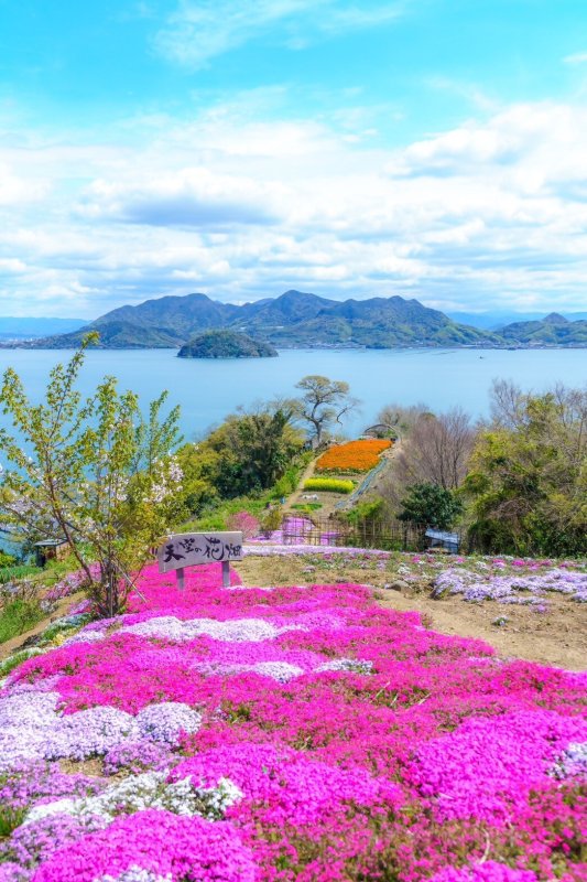 志々島