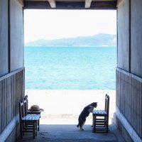 佐柳島