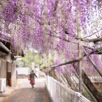 岩田神社