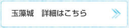 玉藻城 詳細はこちら