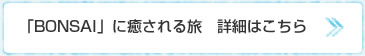 松盆栽 詳細はこちら