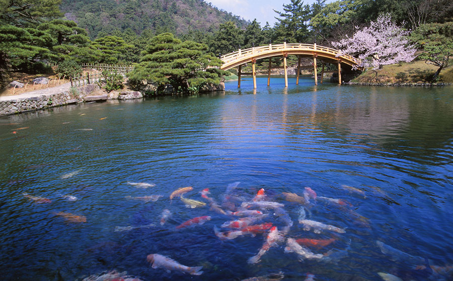 Ritsurin Garden